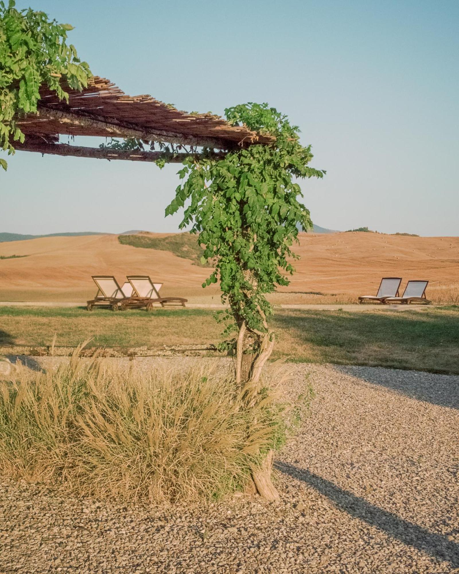 Locanda In Tuscany Кастільйоне-д'Орчія Екстер'єр фото